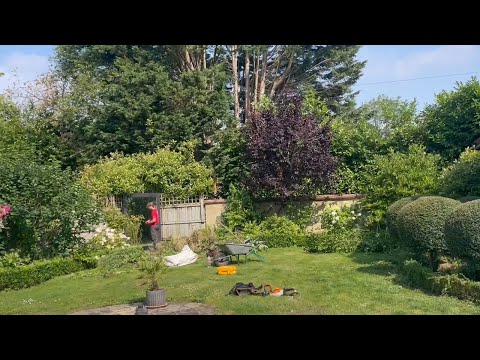 Garden Tidy Up