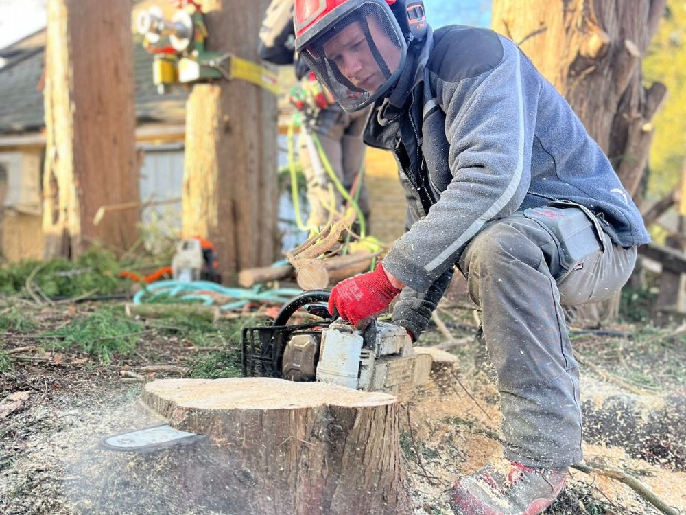 stump grinding