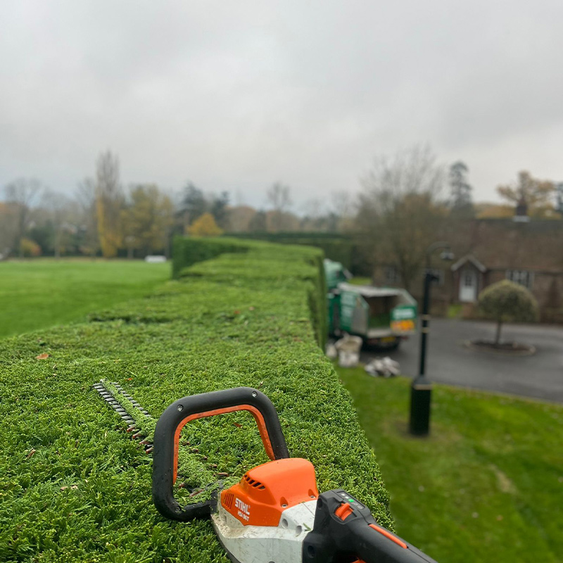 hedge-cutting-10