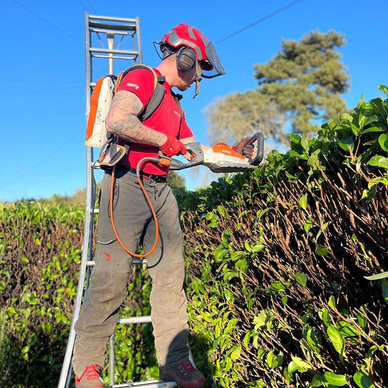 hedge-trimming-1