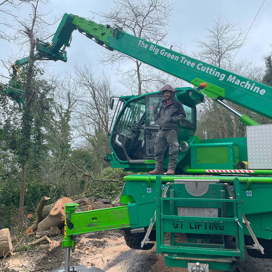 tree-felling-1